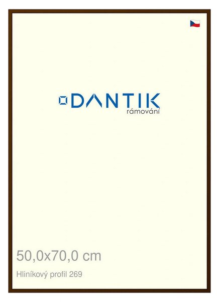 DANTIK rám na obraz 50x70 | ALU Hnědá umbra broušená (Plexi Čiré)