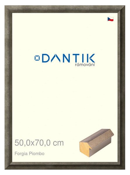 DANTIK rám na obraz 50x70 | Forgia Piombo (Plexi Čiré)