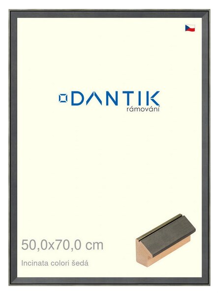 DANTIK rám na obraz 50x70 | INCLINATA colori šedá (Plexi Čiré)