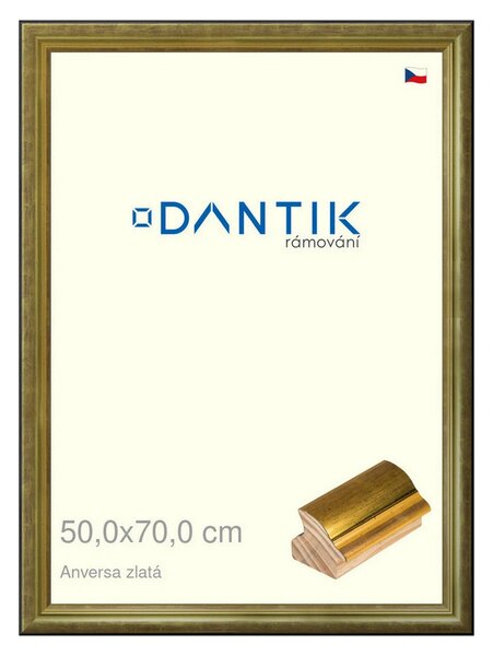 DANTIK rám na obraz 50x70 | ANIVERSA zlatá (Plexi Čiré)