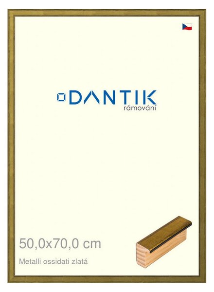 DANTIK rám na obraz 50x70 | Metalli oidati zlatá (Plexi Čiré)