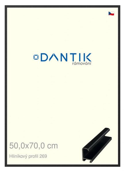 DANTIK rám na obraz 50x70 | ALU Černá matná (Plexi Čiré)
