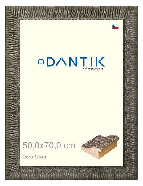 DANTIK rám na obraz 50x70 | Dora Silver (Plexi Čiré)