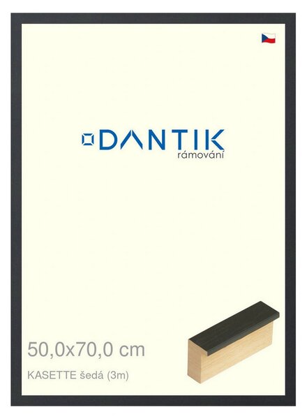 DANTIK rám na obraz 50x70 | KASSETTE šedá (Plexi Čiré)