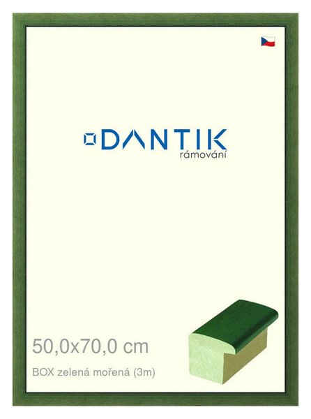 DANTIK rám na obraz 50x70 | BOXzelená mořená (Plexi Čiré)