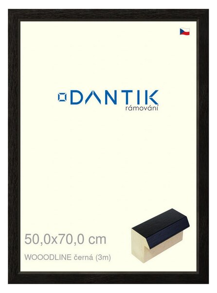 DANTIK rám na obraz 50x70 | WOODLINE černá (Plexi Čiré)