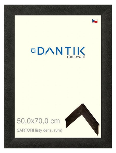 DANTIK rám na obraz 50x70 | SARTORI listy čer.s. (Plexi Čiré)