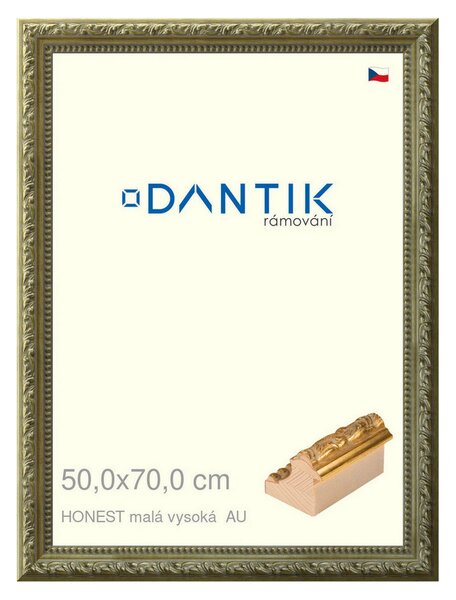 DANTIK rám na obraz 50x70 | HONEST malá vysoká AU (Plexi Čiré)