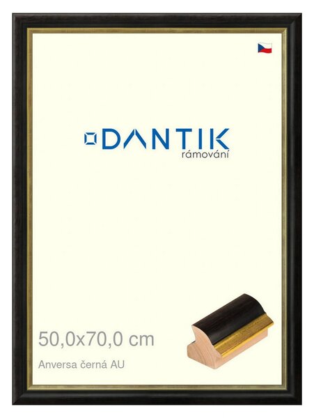 DANTIK rám na obraz 50x70 | ANIVERSA černá AU (Plexi Čiré)