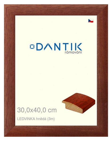 DANTIK rám na obraz 30x40 | LEDVINKA hnědá (Plexi Čiré)
