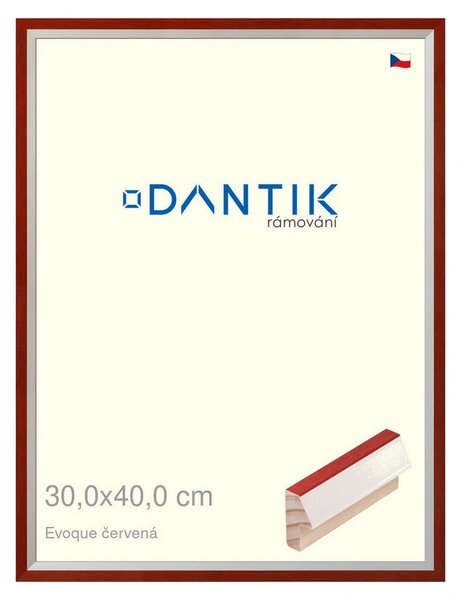 DANTIK rám na obraz 30x40 | EVOQUE červená (Plexi Čiré)