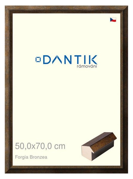 DANTIK rám na obraz 50x70 | Forgia Bronzea (Plexi Čiré)