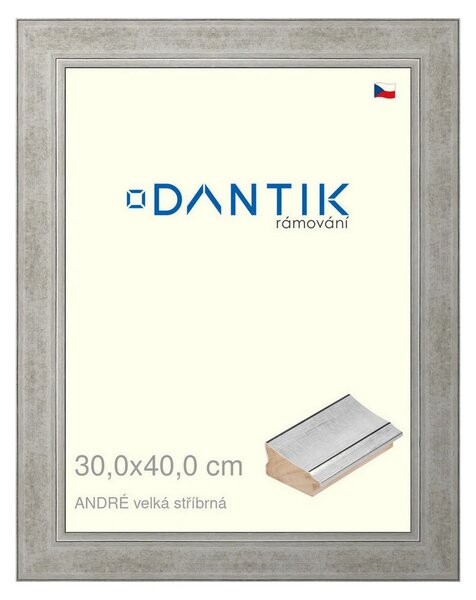 DANTIK rám na obraz 30x40 | ANDRÉ velká stříbrná (Plexi Čiré)