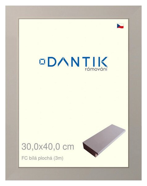DANTIK rám na obraz 30x40 | FC Bílá plochá (Plexi Čiré)