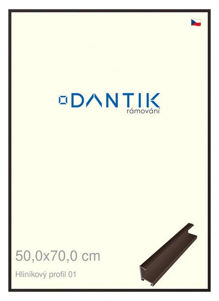 DANTIK rám na obraz 50x70 | ALU Hnědá matná (Plexi Čiré)