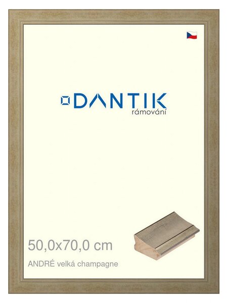 DANTIK rám na obraz 50x70 | ANDRÉ velká champagne (Plexi Čiré)