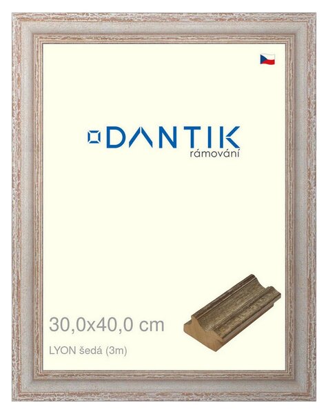 DANTIK rám na obraz 30x40 | LYON šedá (Plexi Čiré)