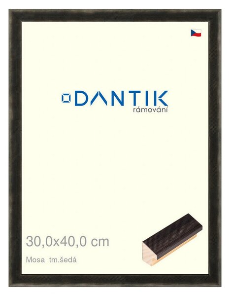 DANTIK rám na obraz 30x40 | Mosa tm.šedá (Plexi Čiré)
