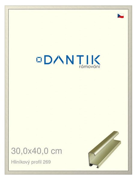 DANTIK rám na obraz 30x40 | ALU zlatá matná (Plexi Čiré)
