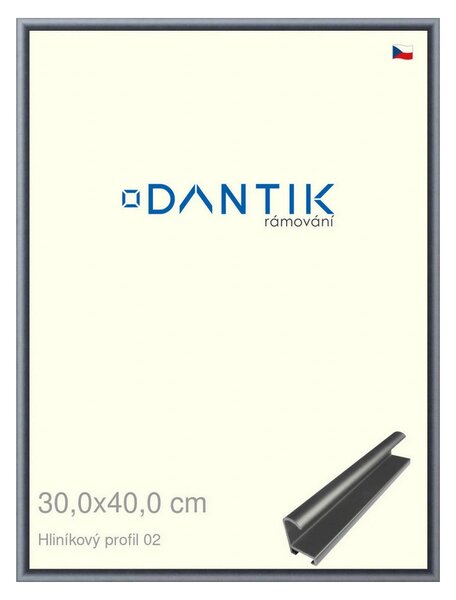 DANTIK rám na obraz 30x40 | ALU Platina matná (Plexi Čiré)