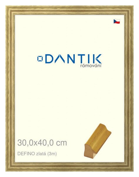 DANTIK rám na obraz 30x40 | DELFINO zlatá (Plexi Čiré)
