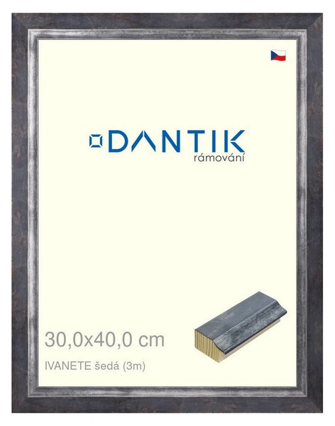 DANTIK rám na obraz 30x40 | IVANETE šedá (Plexi Čiré)