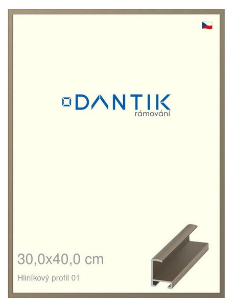DANTIK rám na obraz 30x40 | ALU champagne (Plexi Čiré)