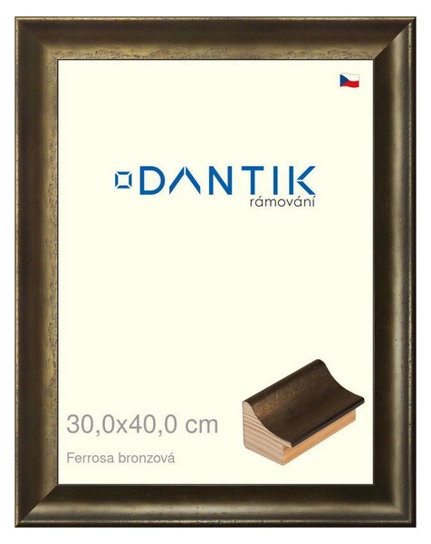 DANTIK rám na obraz 30x40 | Ferrosa bronzová (Plexi Čiré)