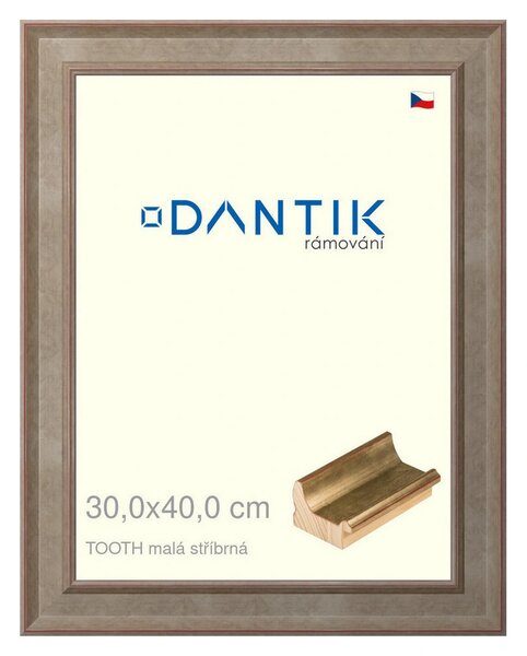 DANTIK rám na obraz 30x40 | TOOTH malá stříbrná (Plexi Čiré)