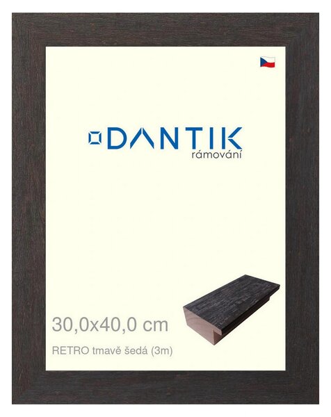 DANTIK rám na obraz 30x40 | RETRO tmavě šedá (Plexi Čiré)