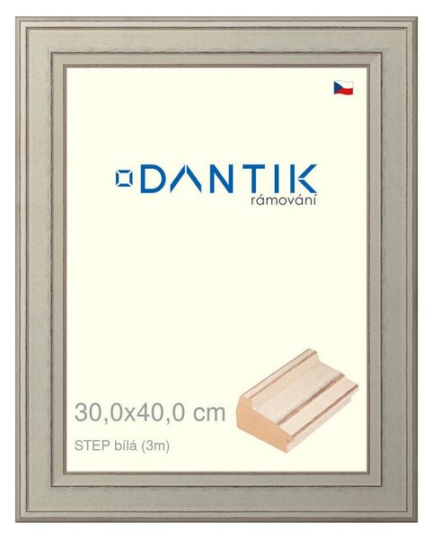 DANTIK rám na obraz 30x40 | STEP bílá (Plexi Čiré)