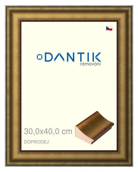 DANTIK rám na obraz 30x40 | Doprodej | METAL AU prohlá velká (Plexi Čiré)