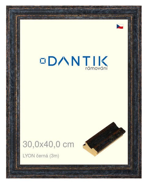 DANTIK rám na obraz 30x40 | LYON černá (Plexi Čiré)