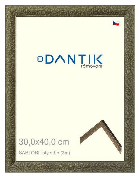 DANTIK rám na obraz 30x40 | SARTORI listy stříb (Plexi Čiré)