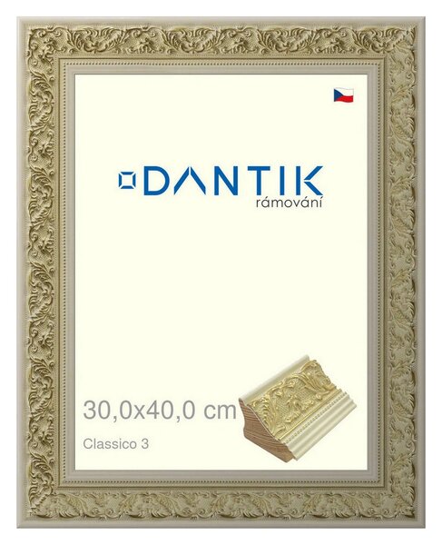 DANTIK rám na obraz 30x40 | Claico 3 (Plexi Čiré)