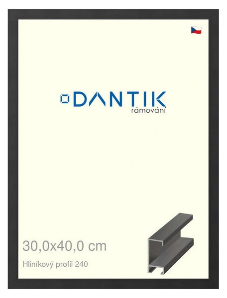 DANTIK rám na obraz 30x40 | ALU Černá matná (Plexi Čiré)