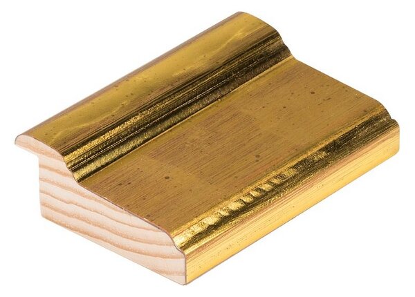 DANTIK rám na obraz 29,7x42 | Oro Fino zlatá (Plexi Čiré)
