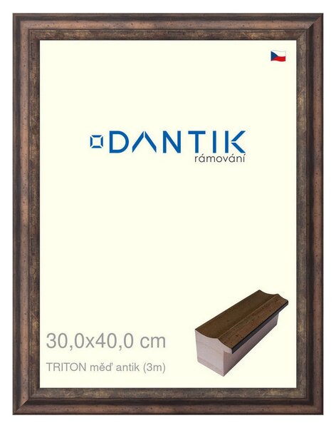 DANTIK rám na obraz 30x40 | TRITON měď antik (Plexi Čiré)