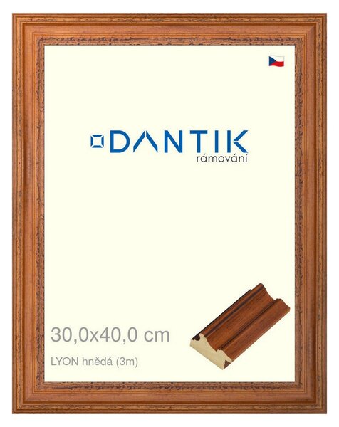 DANTIK rám na obraz 30x40 | LYON hnědá (Plexi Čiré)