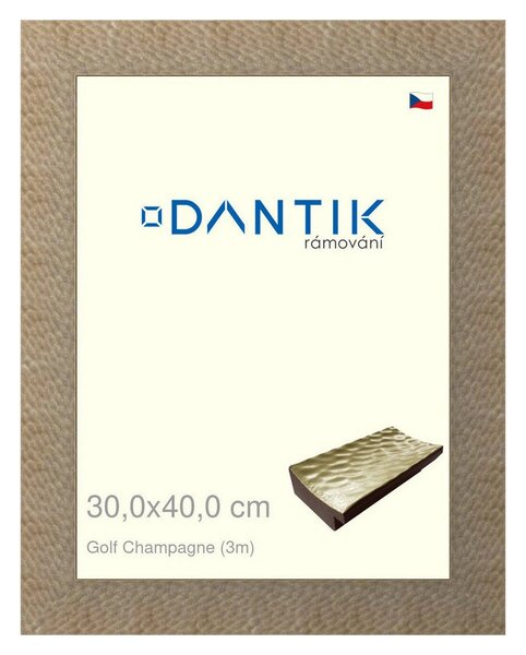 DANTIK rám na obraz 30x40 | Golf champagne (Plexi Čiré)