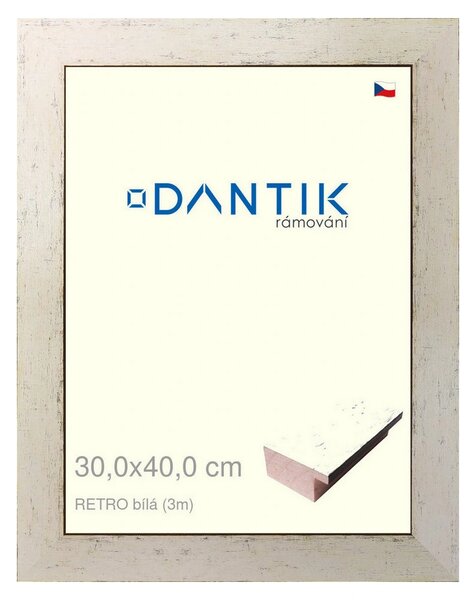 DANTIK rám na obraz 30x40 | RETRO bílá (Plexi Čiré)