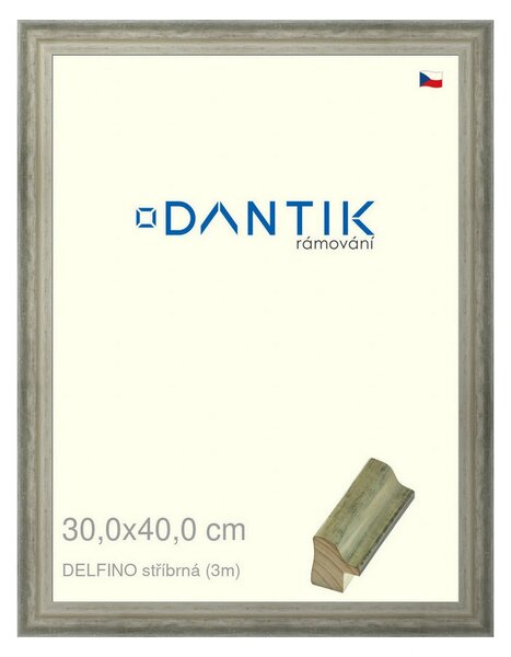 DANTIK rám na obraz 30x40 | DELFINO stříbrná (Plexi Čiré)