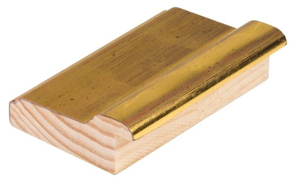 DANTIK rám na obraz 29,7x42 | Oro Fino zlatá (Plexi Čiré)