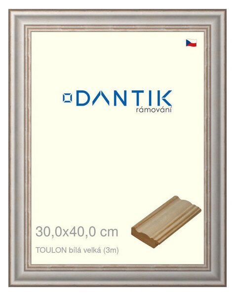 DANTIK rám na obraz 30x40 | TOULON bílá velká (Plexi Čiré)