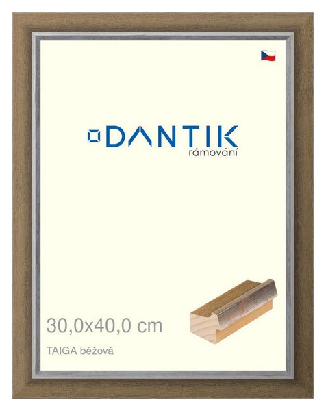 DANTIK rám na obraz 30x40 | TAIGA béžová (Plexi Čiré)