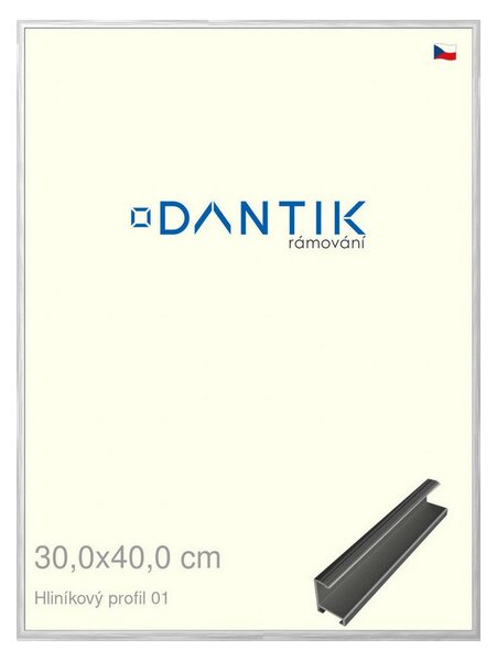 DANTIK rám na obraz 30x40 | ALU Stříbrná lesklá (Plexi Čiré)