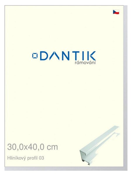 DANTIK rám na obraz 30x40 | ALU Bílá matná (Plexi Čiré)