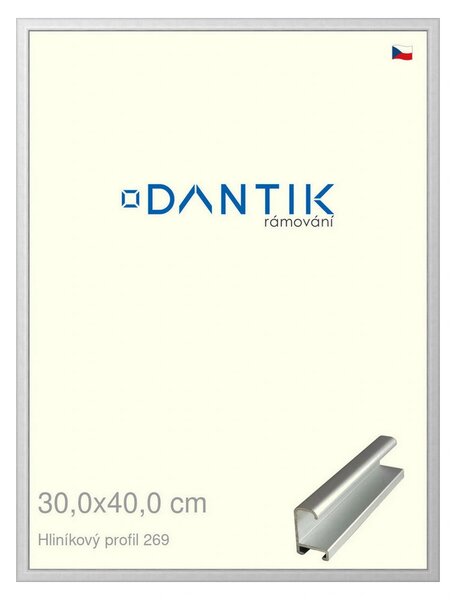 DANTIK rám na obraz 30x40 | ALU Stříbrná matná (Plexi Čiré)