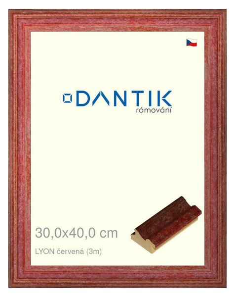 DANTIK rám na obraz 30x40 | LYON červená (Plexi Čiré)