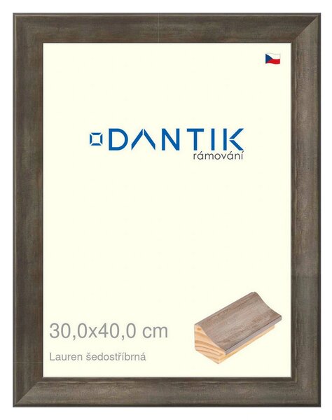 DANTIK rám na obraz 30x40 | Lauren šedostříbrná (Plexi Čiré)
